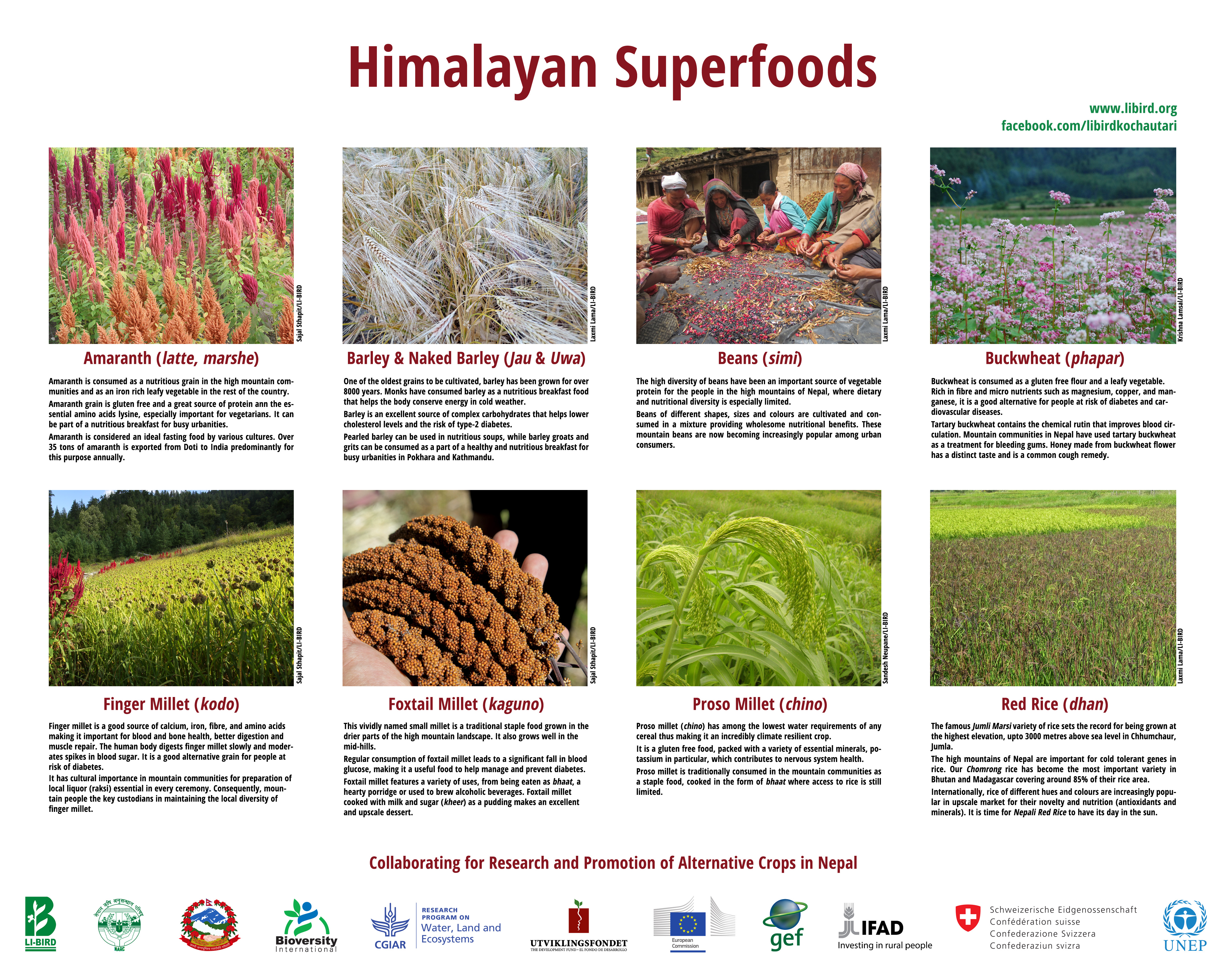 LCP-Himalayan-Superfoods-Poster-logos-at-bottom