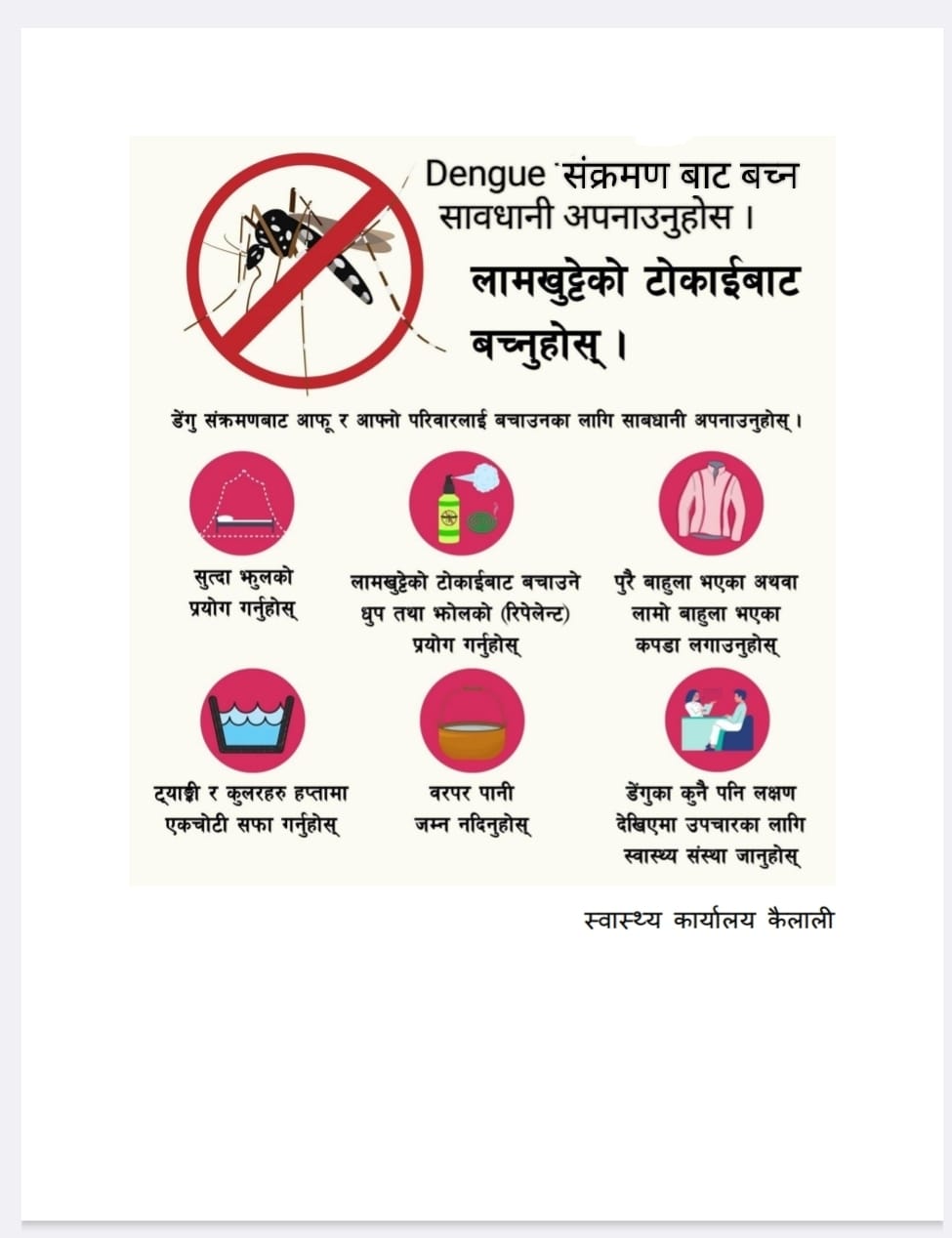 Dengue संक्रमणबाट सावधानी अपनाउने सम्बन्धि सुचना