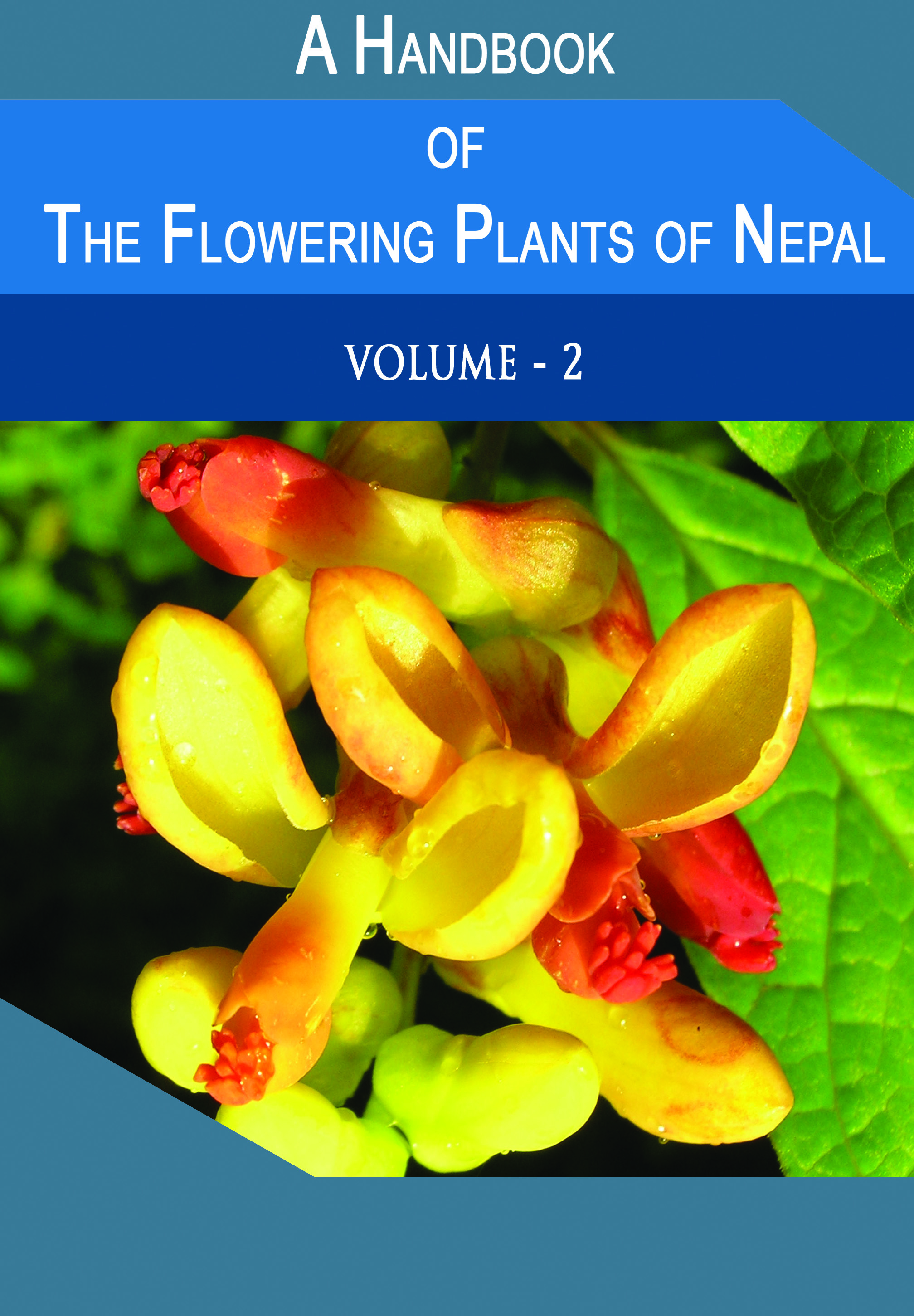 A Handbook of Flowering Plant Volume 2