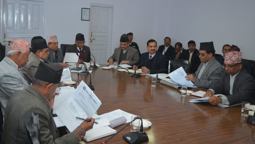 पूनर्निर्माण प्राधिकरण निर्देशक समितिको बैठक सम्पन्न