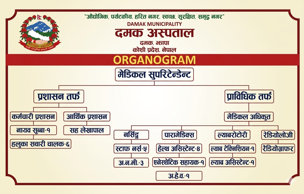 Damak Hospital Organogram