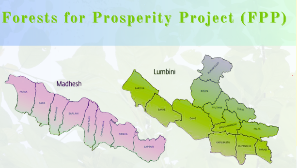 सम्वृद्धिका लागि वन  : एक झलक