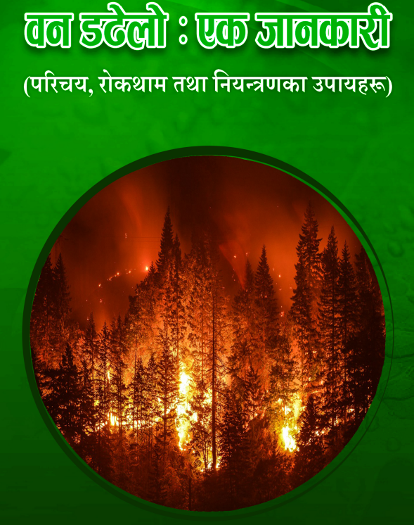 वन डढेलो : एक जानकारी