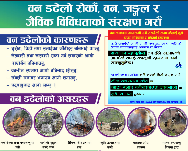 वन डढेलो :पोष्टर