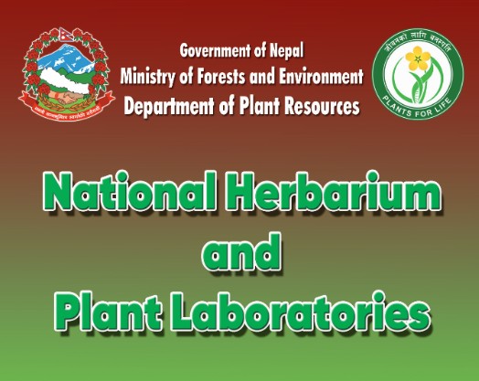 ब्रोशर (अंग्रेजी)