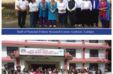 प्रमुखज्यूको मन्तव्य - img