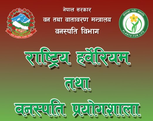 ब्रोशर (नेपाली)