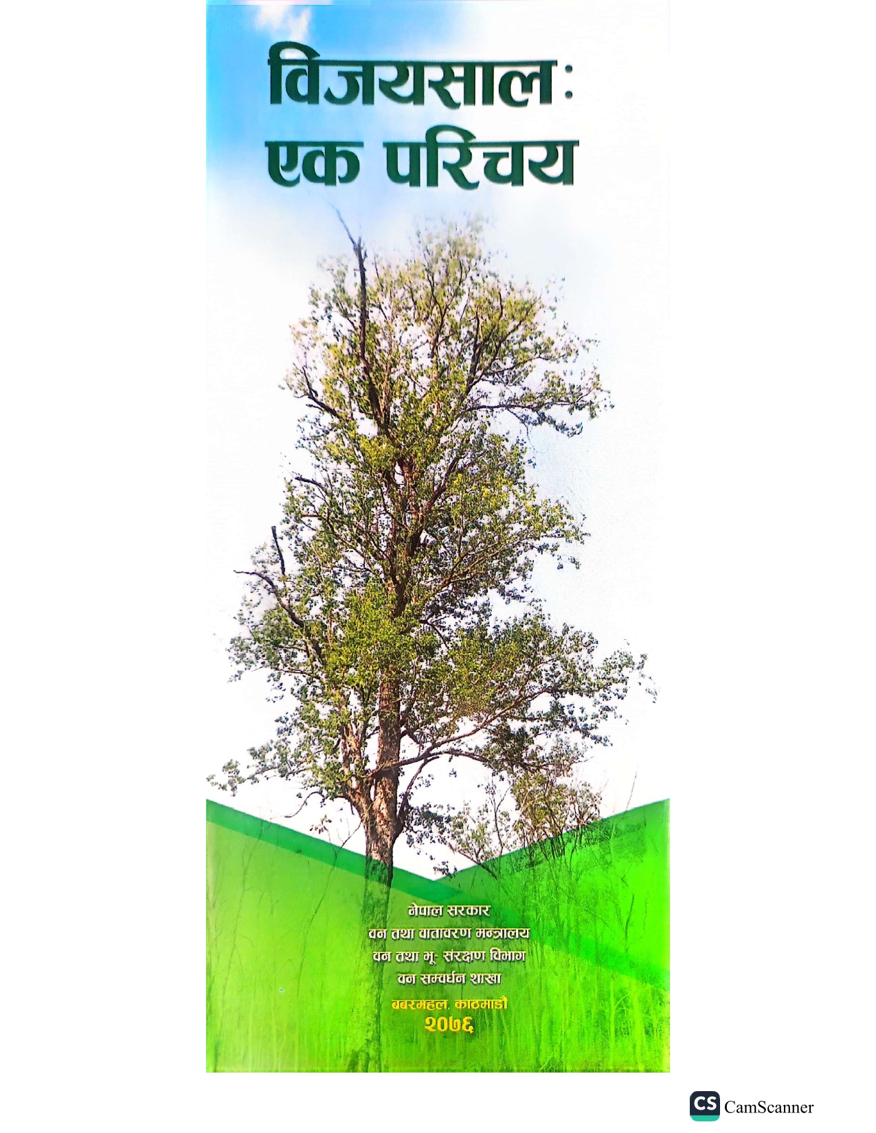 बिजयसाल एक परिचय