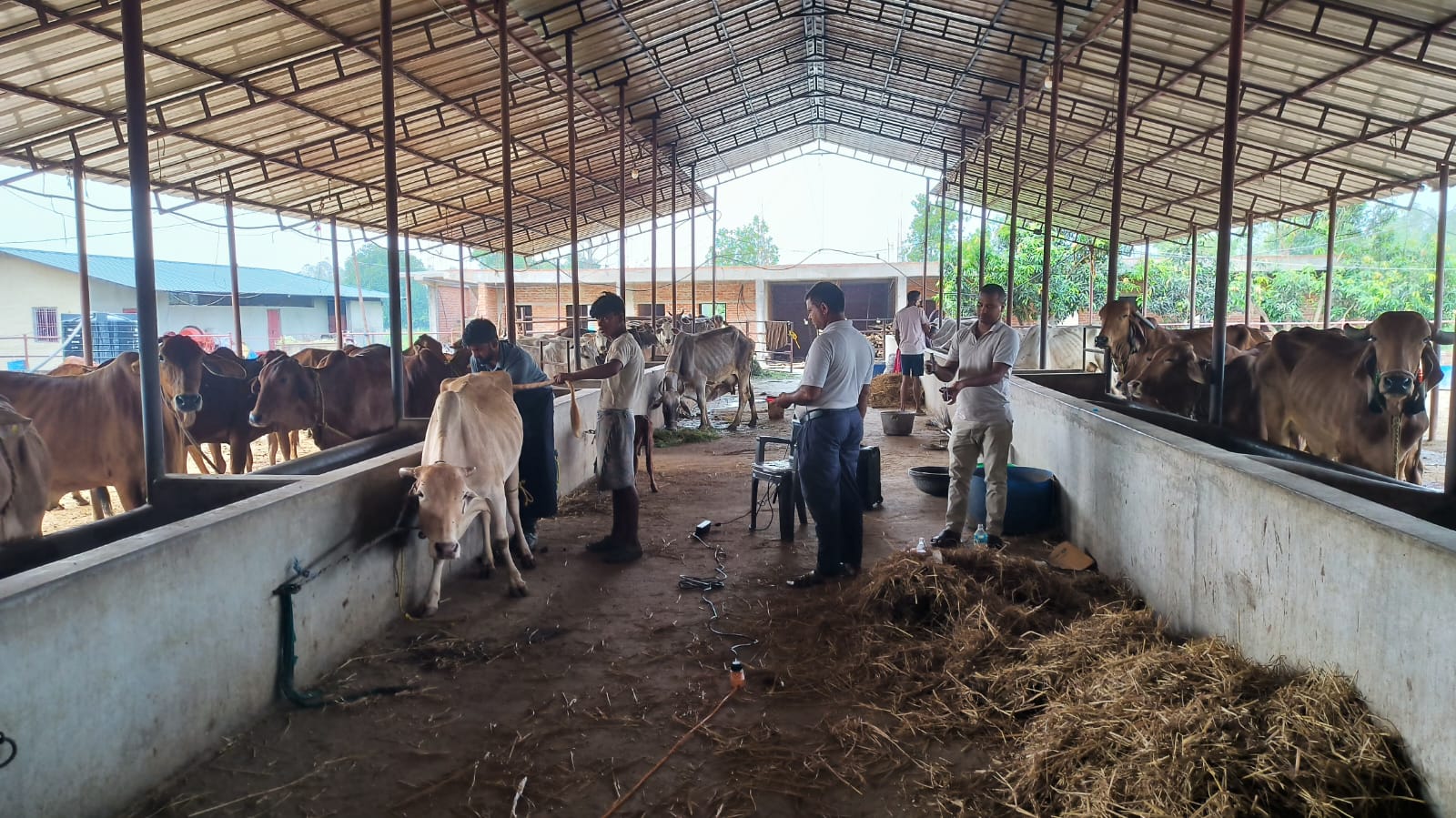 घर दैलो मा उपचार हुदै