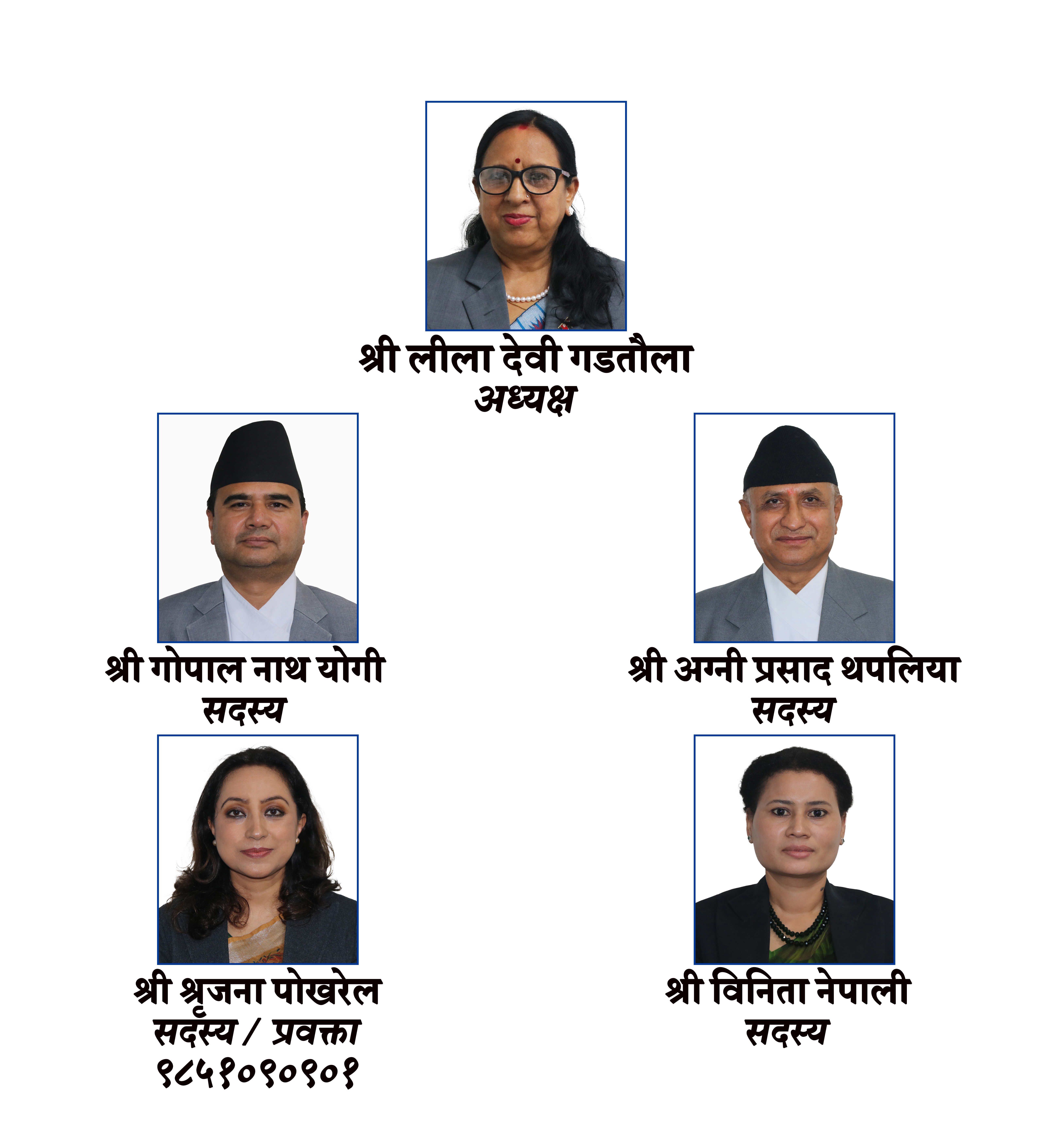 आयोगका वर्तमान पदाधिकारीहरु